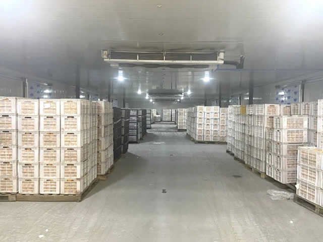 果蔬保鮮冷庫建造